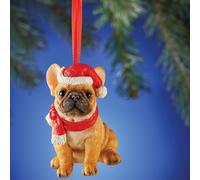 Adorabile Bulldog Cucciolo di Cane Indossare Babbo Natale Cappello E Sciarpa