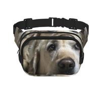 Adorabile cane Labrador, Marsupio quadrato a doppio strato, borsa da viaggio, marsupio casual