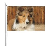 Adorabile cane Sheltie,Bandiera da giardino, bandiera decorativa da cortile, bandiera bifacciale, 2x3 piedi, per esterni e interni