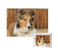 Adorabile cane Sheltie,Puzzle in legno da 1000 pezzi per famiglie, puzzle per adulti e adolescenti