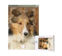 Adorabile cane Sheltie,Puzzle in legno da 300 pezzi per adulti e adolescenti