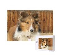 Adorabile cane Sheltie,Puzzle in legno da 300 pezzi per famiglie, per adulti e adolescenti, decorazioni per la casa