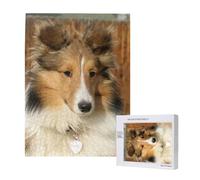 Adorabile cane Sheltie,Puzzle in legno da 500 pezzi per adulti e adolescenti