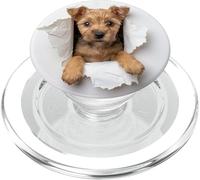 Adorabile cucciolo di cane Lakeland Terrier con 2 cuccioli PopSockets PopGrip per MagSafe