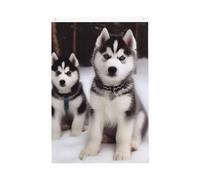 Adorabile Huskies Welcome Garden Flag 0,6 x 0,9 m Double Sided No Fade House Yard Bandiere Photo Sfondo Banner per Cortile Portico Prato Decorazione Esterna