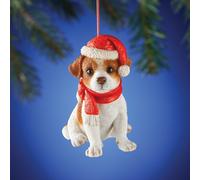 Adorabile Jack Russel Cucciolo di Cane Indossare Babbo Natale Cappello E Sciarpa