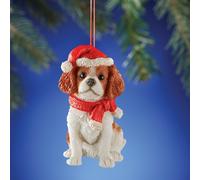 Adorabile King Charles Cucciolo di Cane Indossare Babbo Natale Cappello &