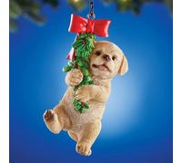 Adorabile Labrador Cucciolo di Cane Tiene Onto Sempreverde Ghirlanda Natale