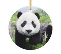 Adorabile panda che cammina sulla prateria albero di Natale in ceramica da appendere rotondo, ornamento natalizio ricordo per feste e decorazioni per la casa