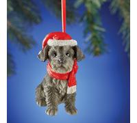 Adorabile Schnauzer Cucciolo di Cane Indossare Babbo Natale Cappello E Sciarpa