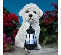 Adorabile Scultura Di Giardino Di Cucciolo Bichon Con Lanterna Illuminata A Sole