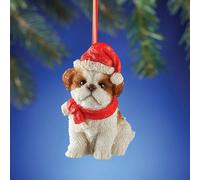 Adorabile Shih Tzu Cucciolo di Cane Indossare Babbo Natale Cappello E Sciarpa