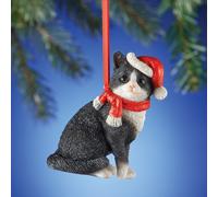 Adorabile Smoking Gattina Gatto Indossare Babbo Natale Cappello E Sciarpa Natale