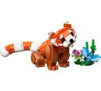 Adorabili animali: Panda rosso
