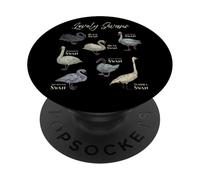Adorabili cigni - Sette tipi di cigno PopSockets PopGrip Adesivo