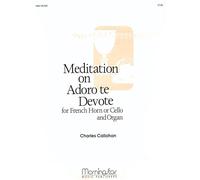 Adoro te Devote. Kammerensemble.