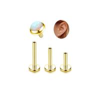 ADRAMATA G23 Titanio Piercing Helix Trago Filettato Internamente Piercings Labbro Medusa Piccolo Piercing Orecchio Ipoallergenico Conch Helix Piercings Oro Argento