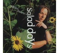 Adrian Belew - Salad Days