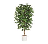 Adriani & Rossi Pianta artificiale Ficus Benjamina - Con vaso