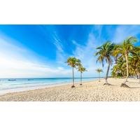 adrium Immagine acrilica 150 x 80 cm: Paradise Beach anche Playa Paraiso a Sunrise - bella e tropicale costa caraibica di Tulum a Quintana Roo, Riviera (89677840)