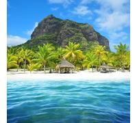 adrium Immagine acrilica 30 x 30 cm: bellissima spiaggia sabbiosa a Le Morne Brabant nel sud dell'isola di Mauritius. Paesaggio tropicale. (136096462)