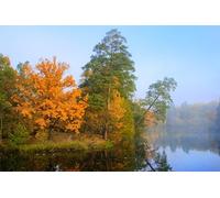 adrium Immagine acrilica 80 x 50 cm: splendida foresta con alberi in colori autunnali che si riflettono nel lago (35653570)