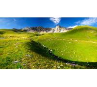 adrium Immagine acrilica 90 x 50 cm: campo nella valle di montagna (19269227)