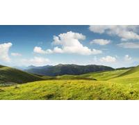 adrium Immagine acrilica 90 x 50 cm: salice nella valle montagne. Paesaggio agricolo in estate (66775236)