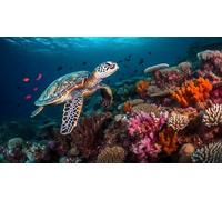 adrium Immagine in legno 110 x 60 cm: una tartaruga verde nuota con grazia sopra una barriera corallina piena di vita. La fotografia subacquea cattura il (256215005)
