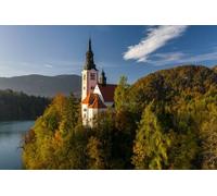 adrium Immagine in legno 140 x 90 cm: vista aerea sulla foresta colorata e il lago sanguinavano con una piccola isola con una chiesa. Alba in Slovenia (134781384)