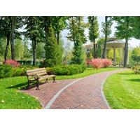 adrium Immagine in legno 50 x 30 cm: giornata di sole nel parco con panca e passerella (35653637)