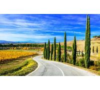 adrium Immagine in legno 60 x 40 cm: Impressionante paesaggio autunnale, vista con cipressi e vigneti, Toscana, Italia. (109761268)