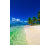 adrium Immagine in legno 80 x 120 cm: Paradiso della spiaggia di sabbia bianca del Mar dei Caraibi -Palma dell'albero marino sulla riva (92791276)