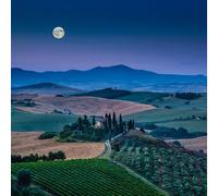 adrium Immagine poster 50 x 50 cm: paesaggio pittoresco della Toscana con dolci colline e valli nel bellissimo chiaro di luna all'alba, Val d Orcia, Italia(55032538)