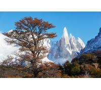 adrium Immagine poster 60 x 40 cm: famosa bella vetta Cerro Torre nelle montagne della Patagonia, Argentina. Splendidi paesaggi montani in Sud America. (238831592)