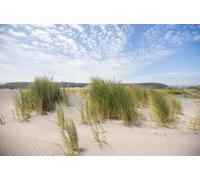 adrium Poster 110 x 70 cm: Bella spiaggia di sabbia al tramonto. (244925026)