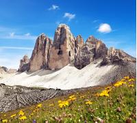 adrium Quadro composito in alluminio 100 x 90 cm: tre cime o tre cime di lavaredo con bellissimo prato fiorito, Dolomiti di Sesto o Dolomiti di Sesto, South (100458551)