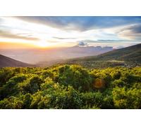 adrium Quadro composito in alluminio 120 x 80 cm: bellissimo vulcano nel Parco Nazionale Cerro Verde a El Salvador al tramonto (124147997)