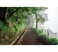 adrium Quadro composito in alluminio 120 x 80 cm: Levada dos Balcoes a Ribeiro Frio, escursionismo sul sentiero Vereda dos Balcoes, foresta Ribeiro Frio, Madera Portogallo (127338202)