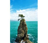 adrium Quadro composito in alluminio 70 x 110 cm: Costa ligure in Italia (21041073)