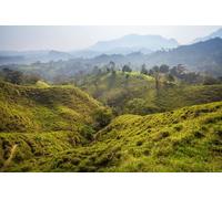 adrium Quadro composito in alluminio 90 x 60 cm: collina verde estate nel paesaggio montuoso bella estate (204937985)