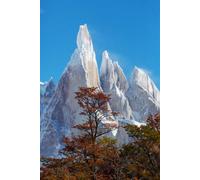 adrium Quadro in alluminio composito 40 x 60 cm: famosa bella vetta Cerro Torre nelle montagne della Patagonia, Argentina. Splendidi paesaggi montani in Sud America. (259680110)