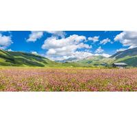 adrium Quadro in legno 130 x 60 cm: bellissimo paesaggio estivo su plateau di montagna Piano Grande Great Plain nelle Apennine, Castelluccio di Norcia, Umbria, Italia(46642706)