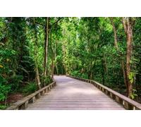 adrium Quadro su tela 140 x 90 cm: sentiero e sentiero in legno nella foresta pluviale tropicale - vicino a Lio Beach, El Nido, Palawan, Filippine (139901647)