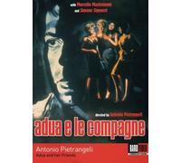 Adua and Her Friends (Adua e le Compagne)