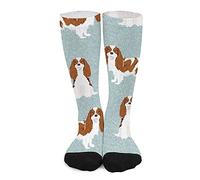 Adulti Calzini 50Cm Coordinata Della Collezione Cavalier King Charles Spaniel Blenheim Calze Arte Indoor Calzini Uomo Unisex Calze Per Amici, Natale, Regalo