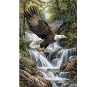 Adulti Diamond Painting Pieno Pittura Art Fai Da Te 5D Kit Paesaggio Dell'Aquila in Volo Motivo Disegno DIY Diamante Trapano Per Decorazione Casa e Pareti Craft Arts Trapano Tondo 20x30cm C1306