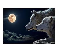 Adulto 1000(70x50cm) pezzi di Puzzle, Mondo Animale Luna Notte Doppio Lupo Puzzle, Puzzle Gioco Intelligenza sfida Adolescenti Giocattoli per Bambini