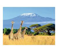 Adulto 300(38x26cm) pezzi di puzzle, iconico montagna neve africano Kilimanjaro Mountain Giraffe Puzzle Puzzle Regalo di Gioco della Gioventù Giocattolo