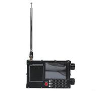 Advanced DP666 Radio con banda completa FM AM onde corte e funzioni come RDS, cancellazione del rumore e display della batteria (nero)
